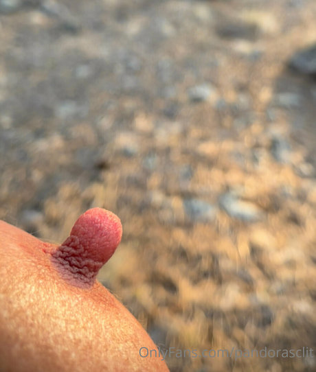 Pandorasclit nude pornstar gallery