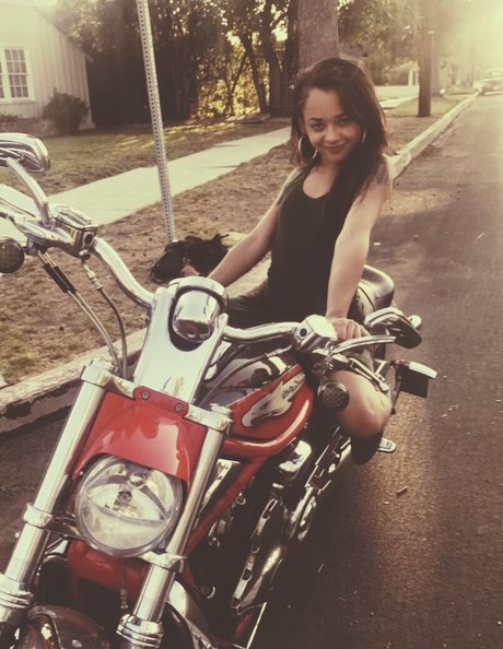 hollyhendrix_ nudes star images