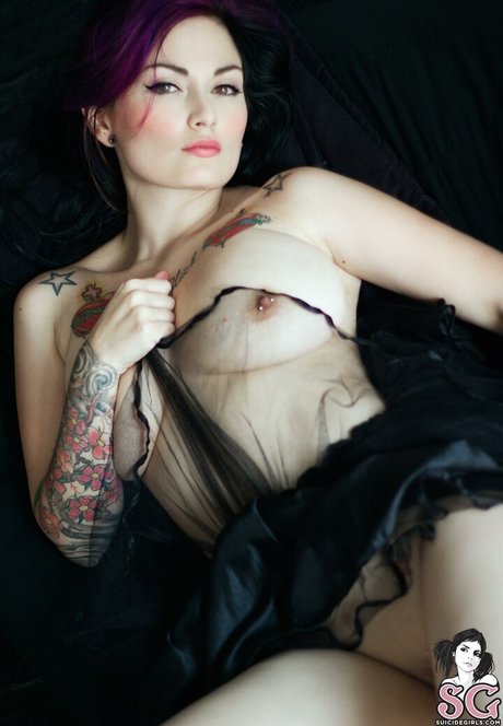 fermercury hd model gallery