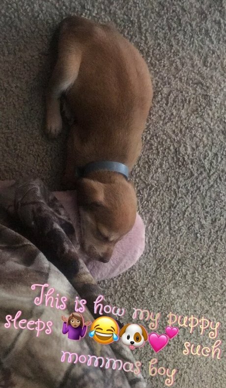 secretrene xxx model picture