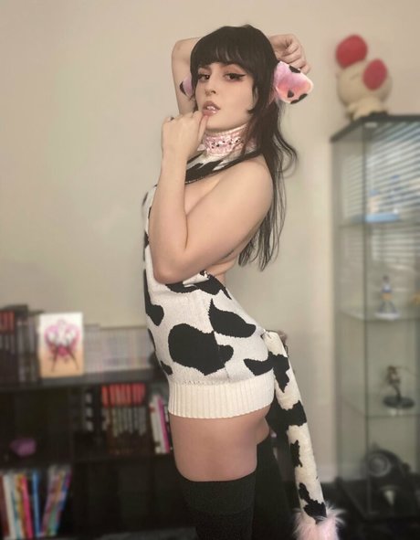 purrrveeives model top picture