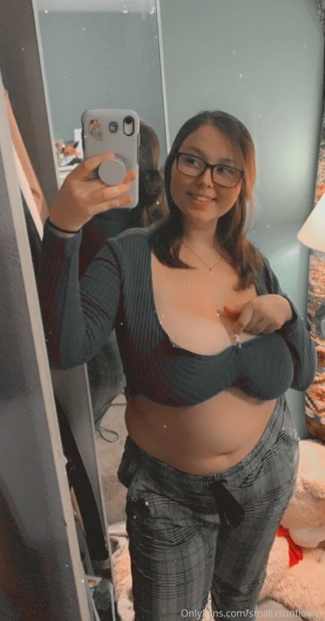 sunflower perfect star pictures