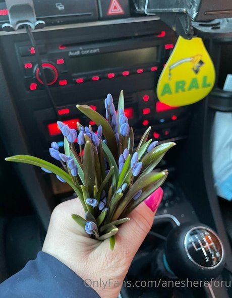 aneshereforu top pornstar pic