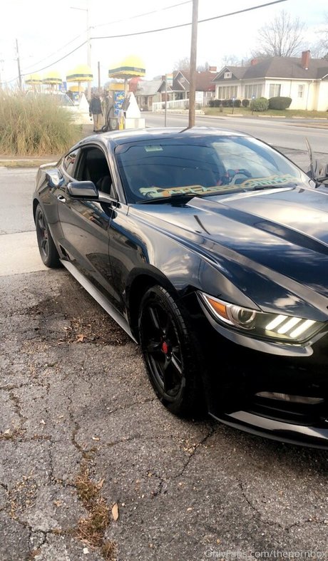 thepornbox model exclusive photos