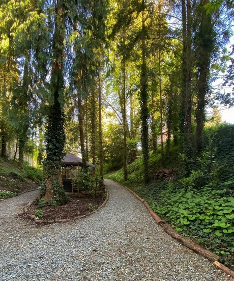 Anah Elisa pornstar gallery