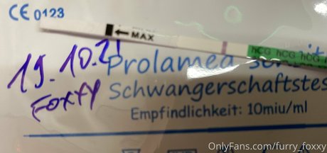 furry foxxy art model pictures