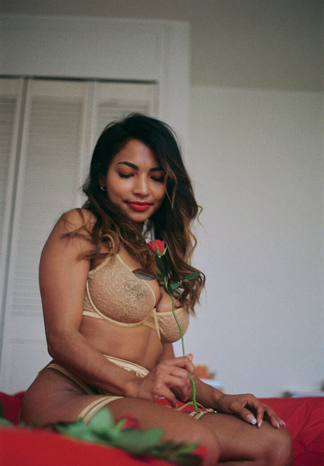 bbw milf onlyfans sex pic