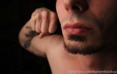 harlemhookup perfect model archive