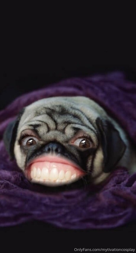 veryyes perfect actress archive