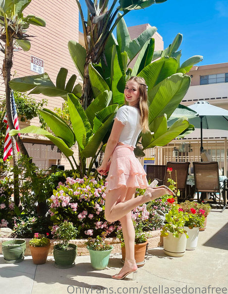 stellasedonafree nudes pornstar img