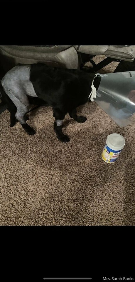 thesarahbnkx sexy actress pictures