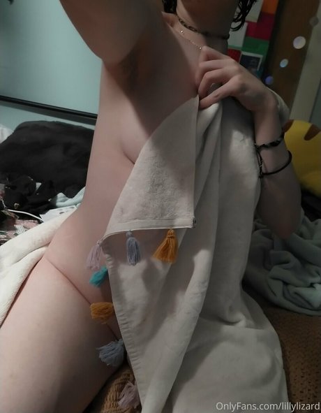 lillylizard best star galleries