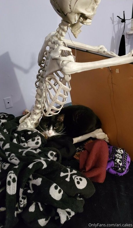 Ari cakes model art photos