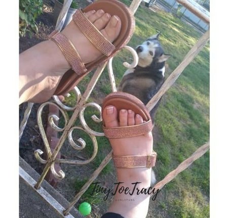 tinytoetracy nude pornstar pictures