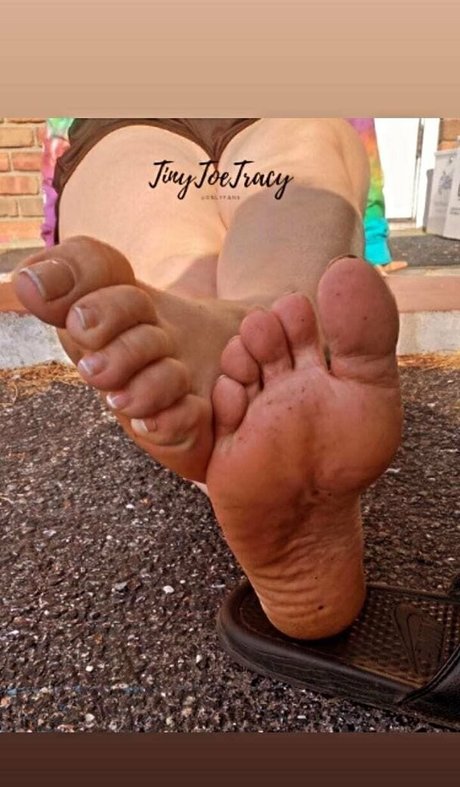 tinytoetracy adult star image