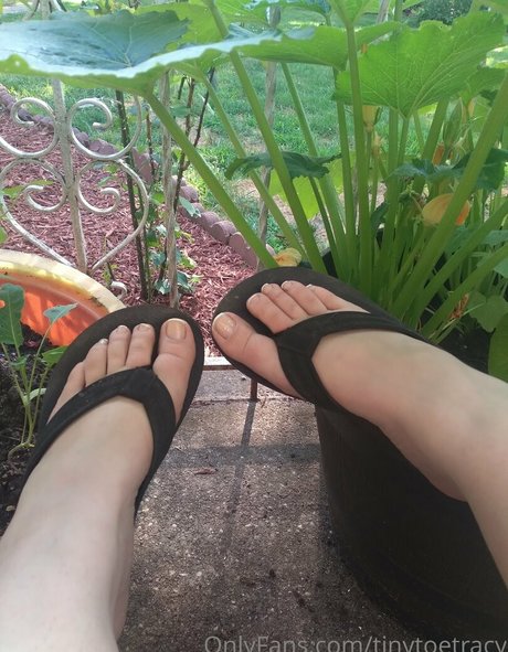 tinytoetracy best model pictures