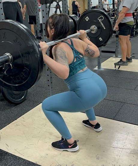 lexilotus66 star high quality galleries