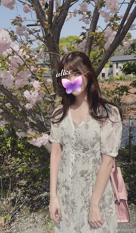 alice monthly fans model hot img