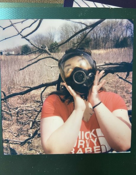 rubberfoxx star art images