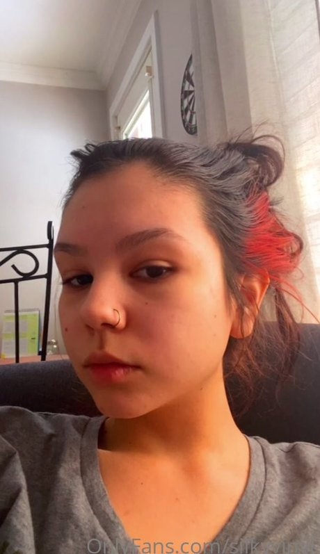 silkyvinyl star art archive