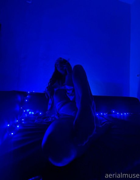 aerialmuse best model img