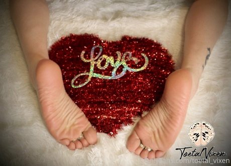 toetal vixen high quality pornstar picture