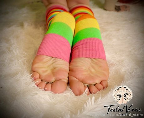 toetal vixen pretty pornstar galleries