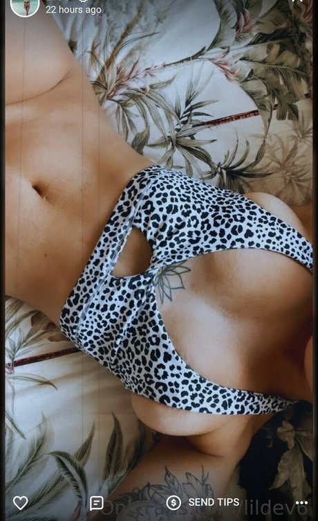 lildev6 top star pictures