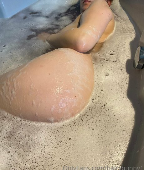 hairybunny1 star nice photos