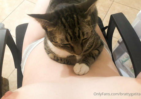 brattygatita adult actress photos