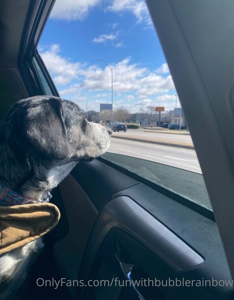 chubby solo onlyfans art xxx pic