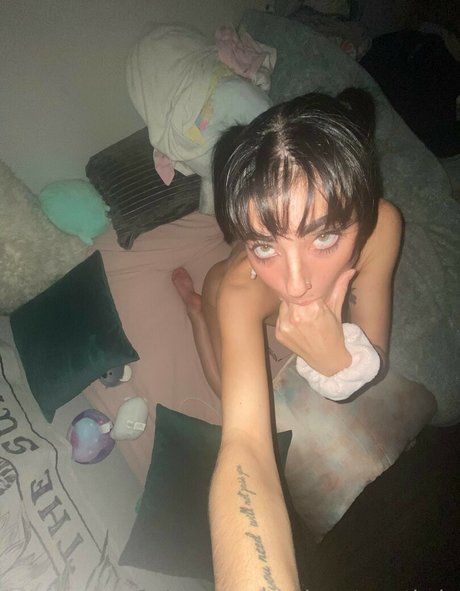 Kaylee McCarthy perfect star archive