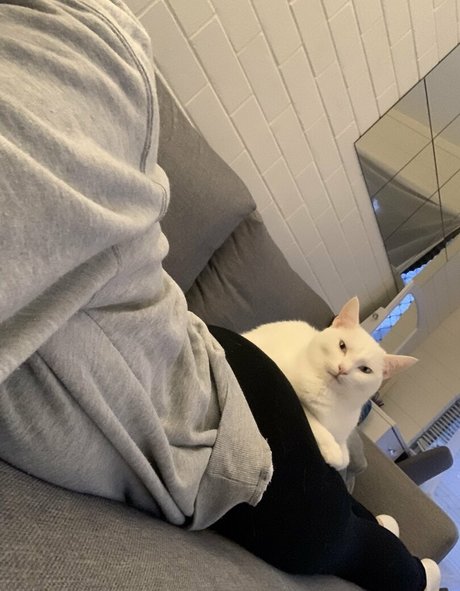 boobsandthings pornstar adult archive