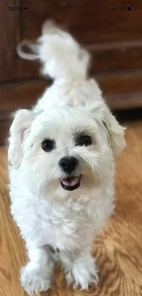 porn star onlyfans beautiful naked photo