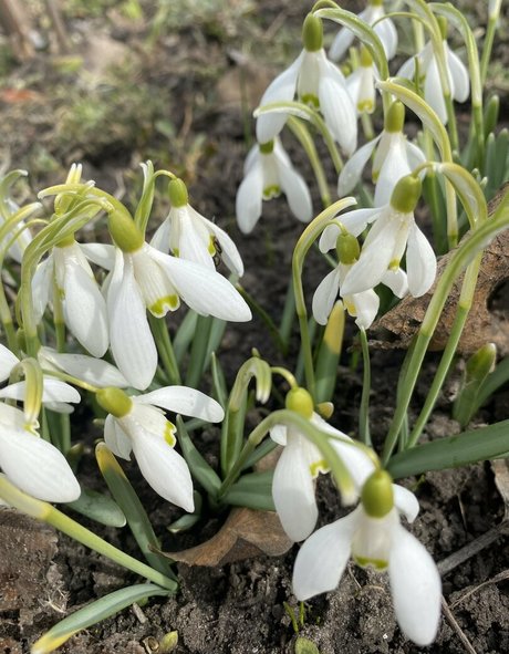 tobinedamfree free actress gallery