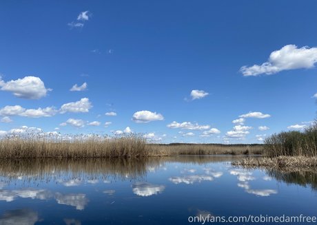 tobinedamfree star hd image