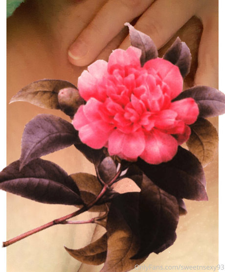 sweetnsexy93 naked actress galleries