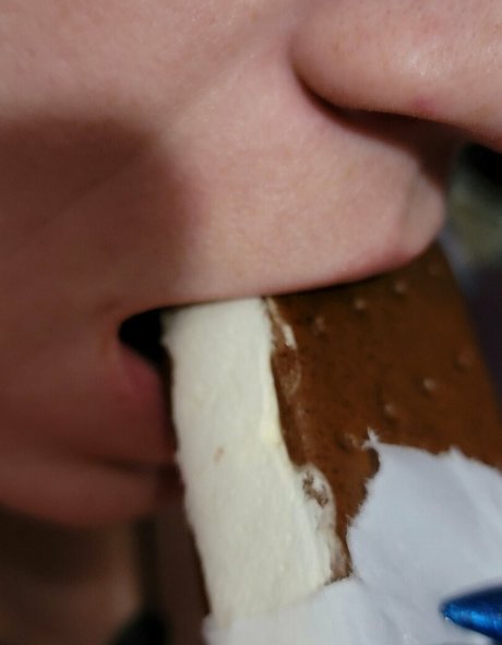 gtssyren star art galleries