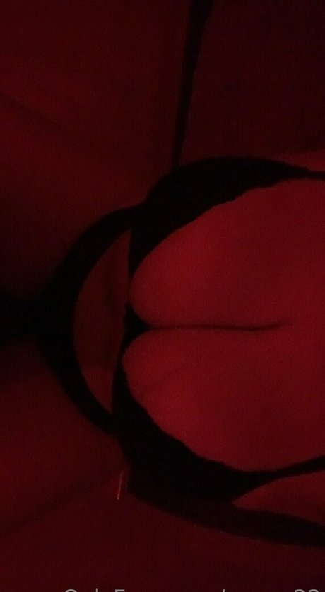 zarra 22 star exclusive img