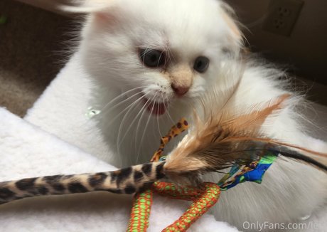 NSFWLeia pornstar sex photo