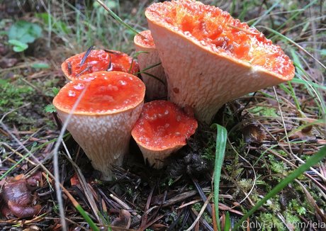 NSFWLeia high quality actress photos