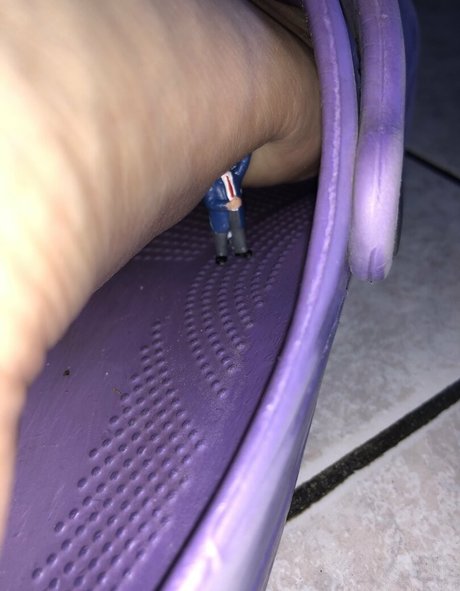 giantesselixs nice star galleries