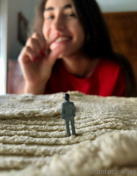 giantesselixs star high quality photo