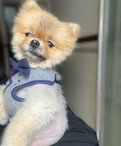 makeup artist onlyfans beautiful nude gallery