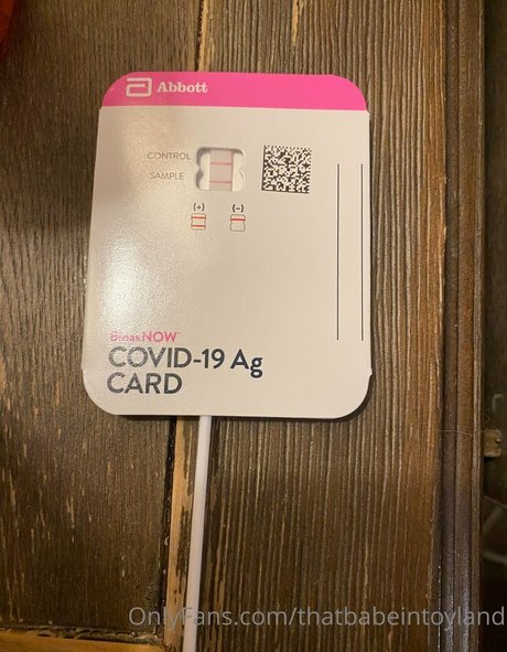 thatbabeintoyland top pornstar galleries