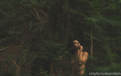 akamikebphoto pornstar art photos