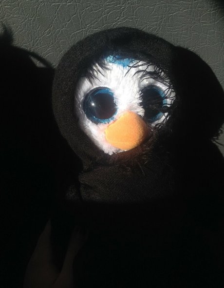 asian top onlyfans sexy nude picture