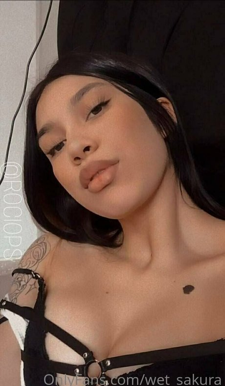 wet sakura star exclusive galleries