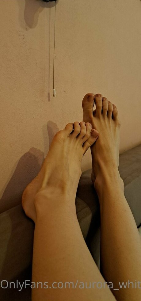 aurora whitewhale model gallery