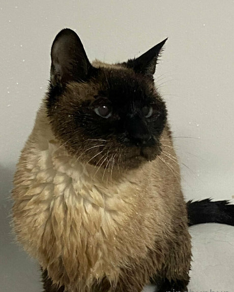 black fuck onlyfans art naked pics